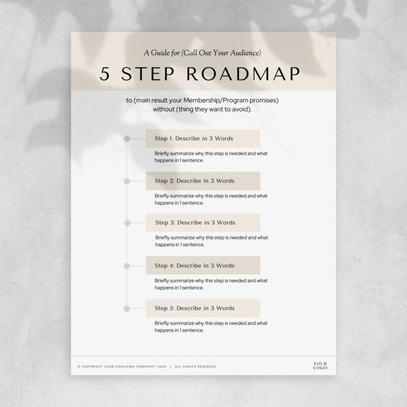5 Step Road Map Template